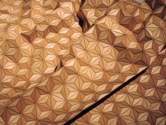 elisa strozyk: wooden carpet
