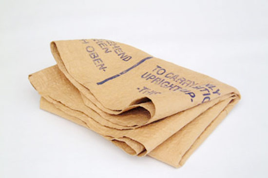 diane steverlynk: cardboard coverings