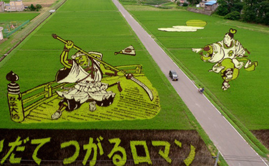 japanese rice paddy art