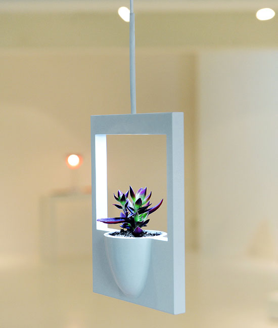 polaroid flower vase by jung hwa   jin