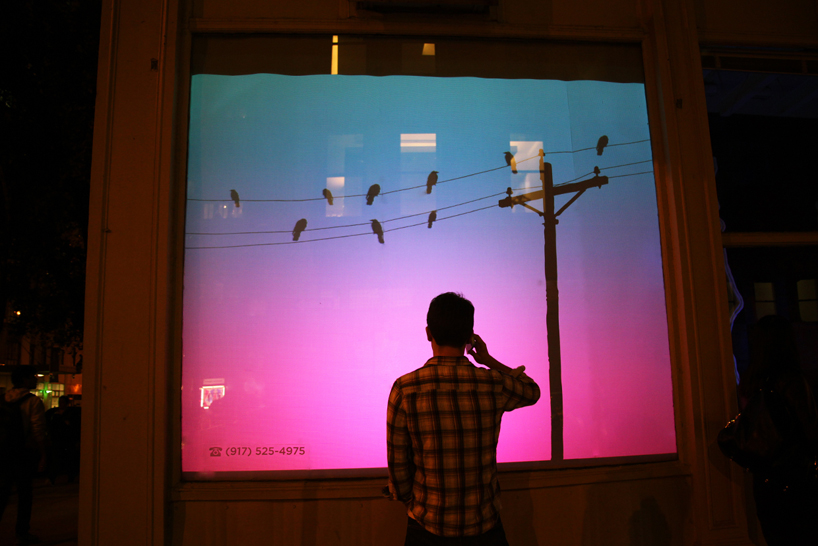 bird on a wire: an interactive video mapping display