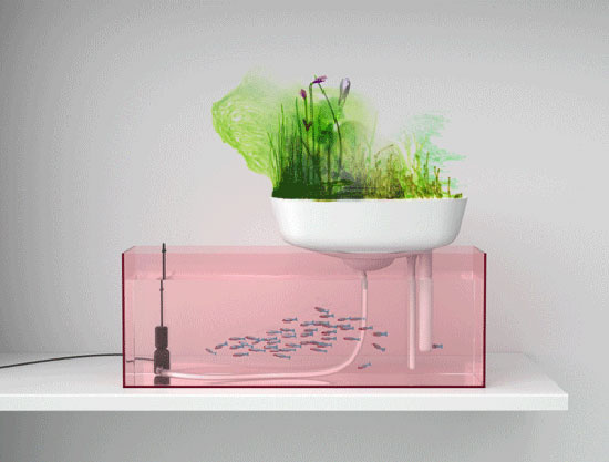 floating garden uses two techniques for eliminating nitrate wastes ...