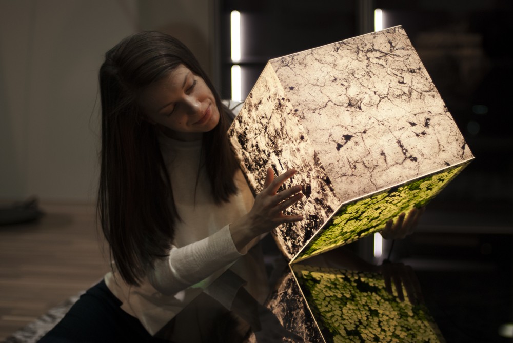 Get stoned light cube by uniqcube