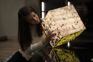 Get stoned light cube by uniqcube