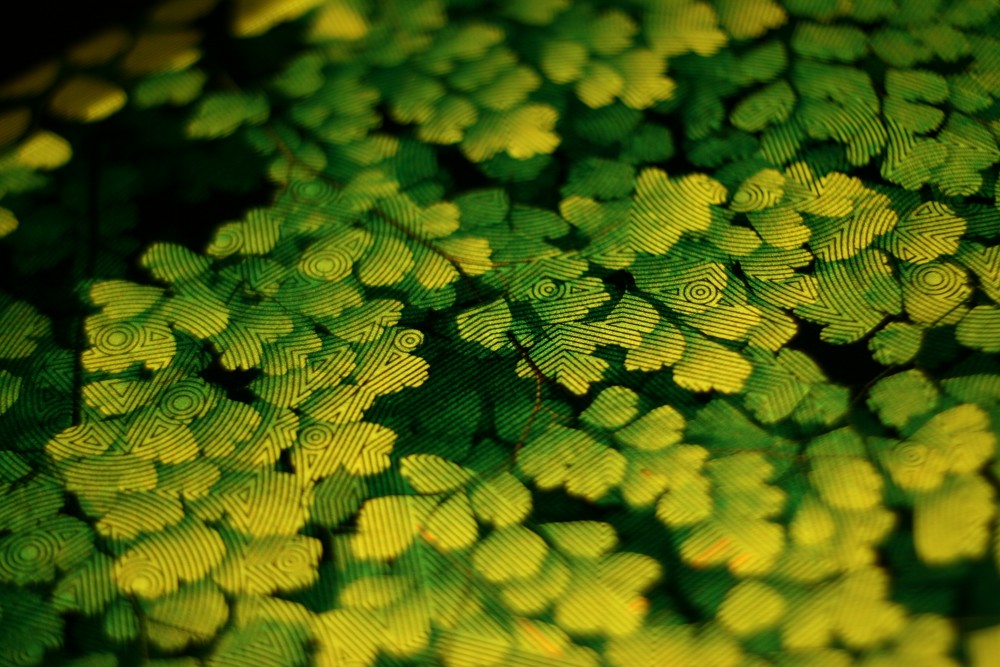 Get stoned light cube by uniqcube