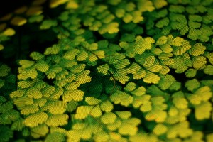 Get stoned light cube by uniqcube