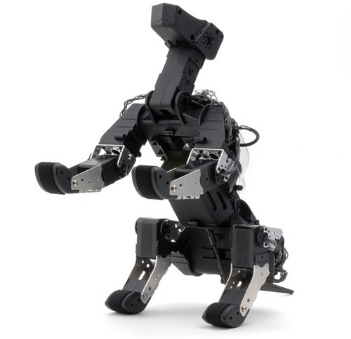 G dog by G robots