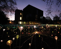 bruce munro: field of light at the holburne museum