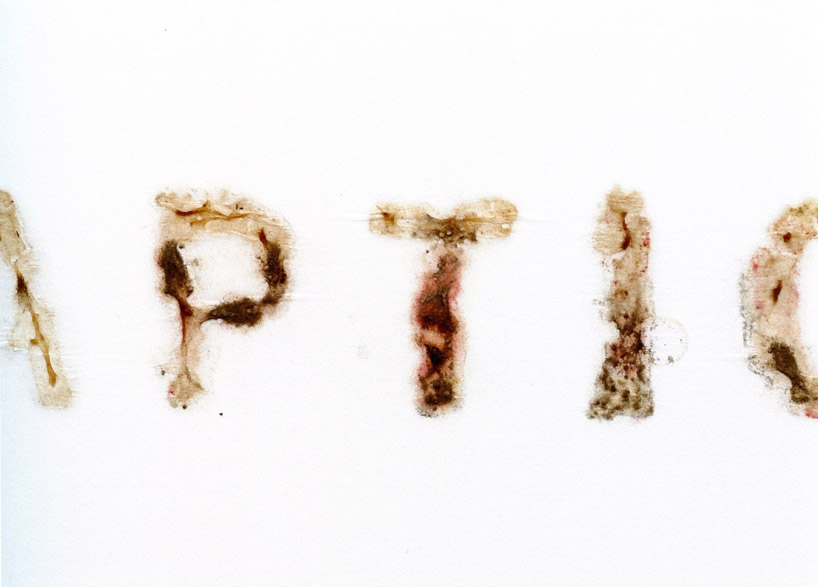 'HAPTIC Logo', 2004, Drawn with Cultured Mold Fungus