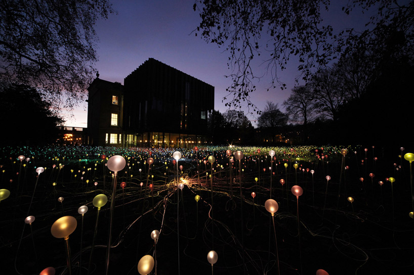 bruce munro: field of light at the holburne museum