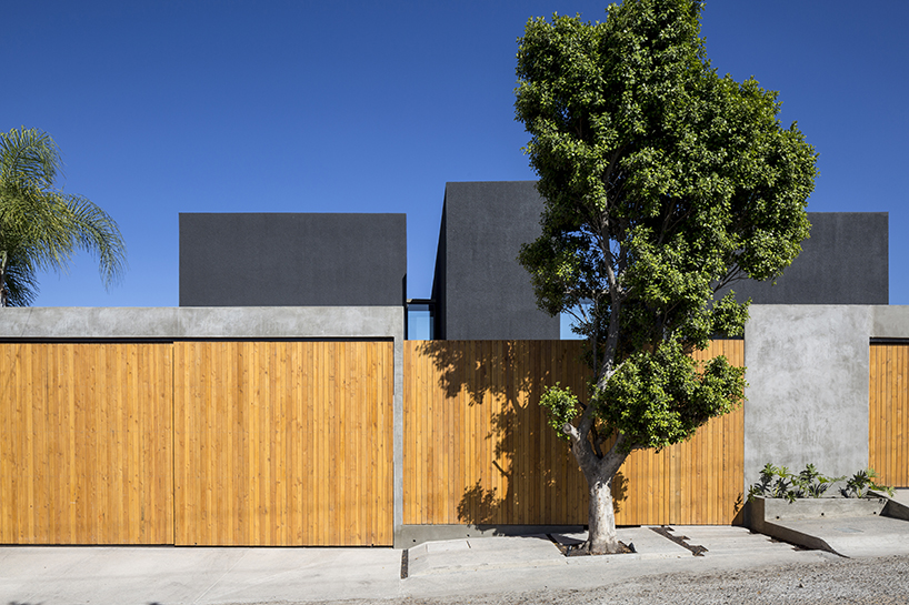 t38studio tlp tijuana designboom