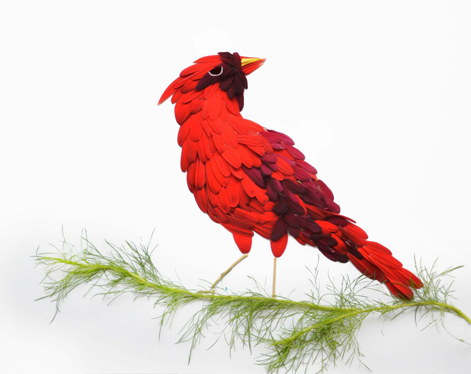 red hong yi flower bird series