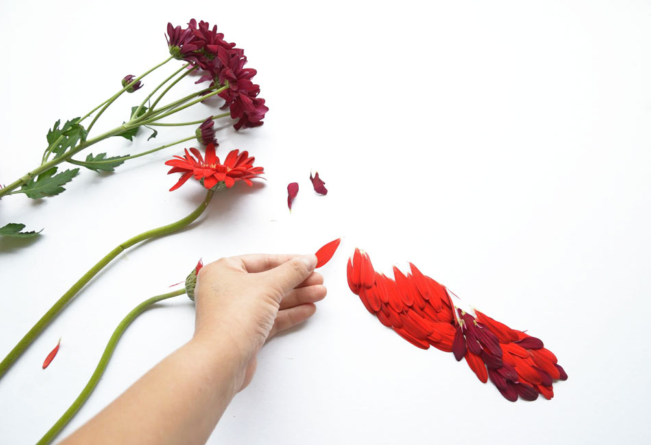 red hong yi flower bird series