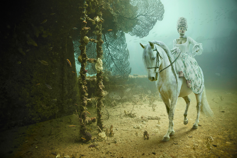 stavronikita project - underwater photography by andreas franke