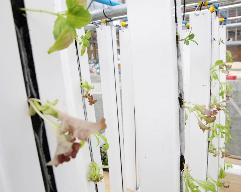 growUP box: an aquaponic shipping container farm