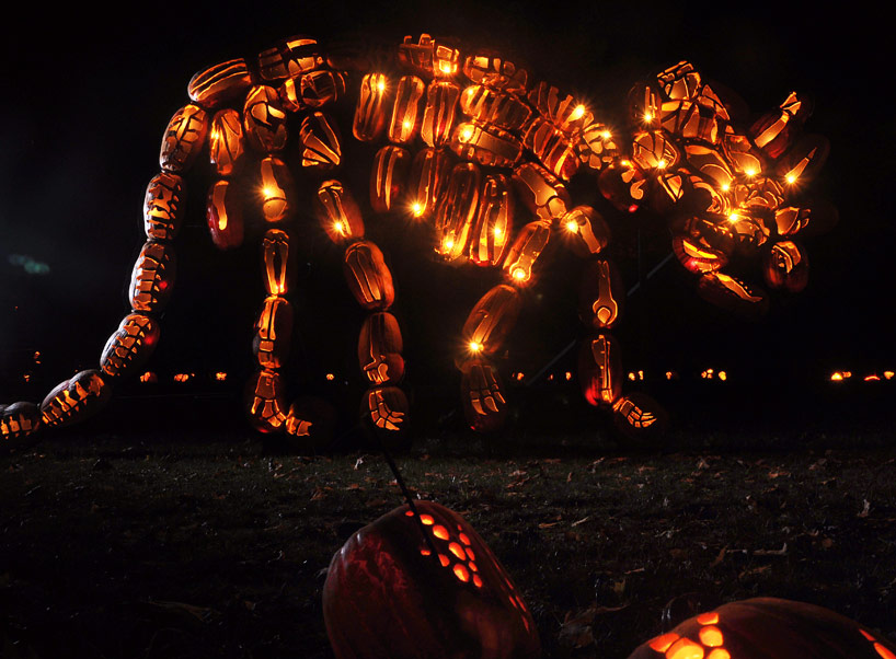mammoth pumpkin carvings at the great jack o'lantern blaze
