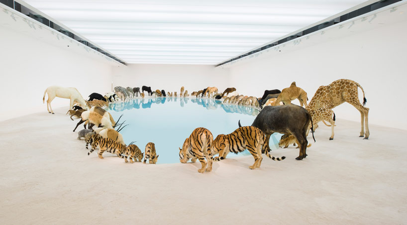 99 animals flock together for cai guo-qiang exhibition