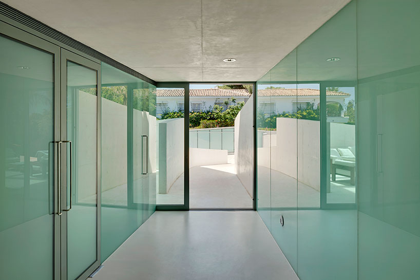 wielarets_jellyfishhouse_db_10