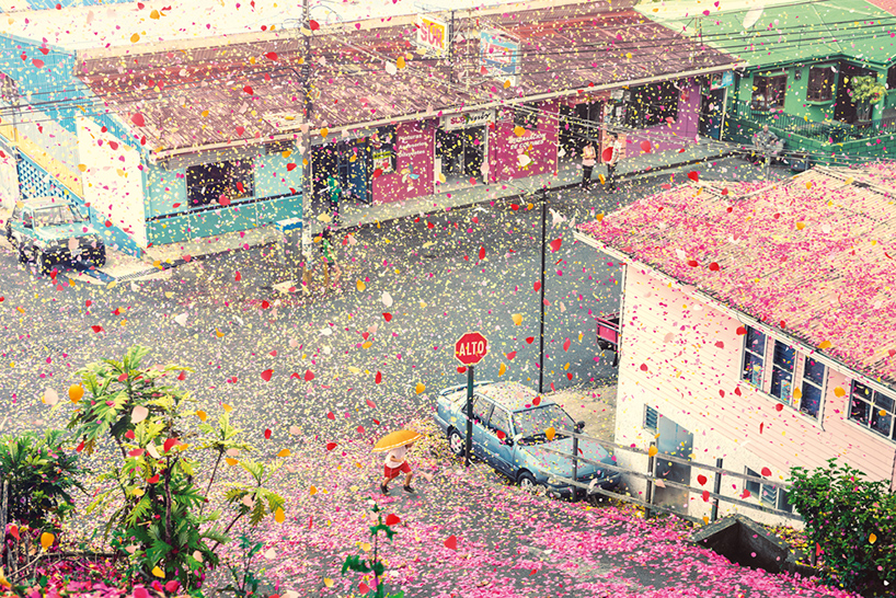 nick meek photographs costa rica covered in flower petals for sony