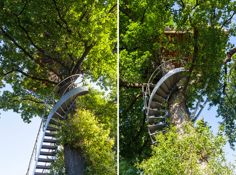 baumraum treehouse halle designboom