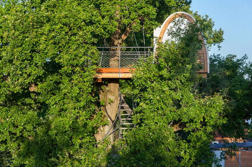baumraum treehouse halle designboom