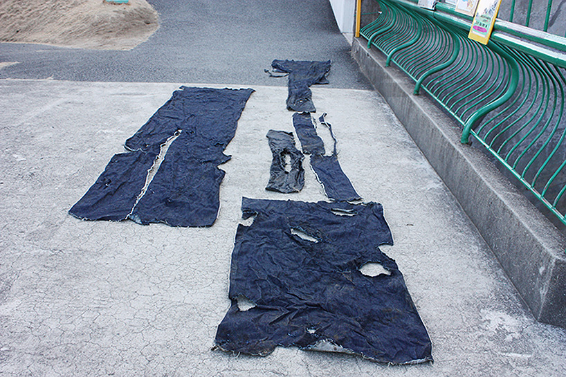 japanese zoo jeans are ripped and torn by tigers 