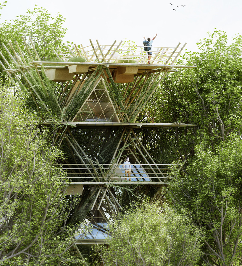penda places visitors among birds with modular bamboo dwellings