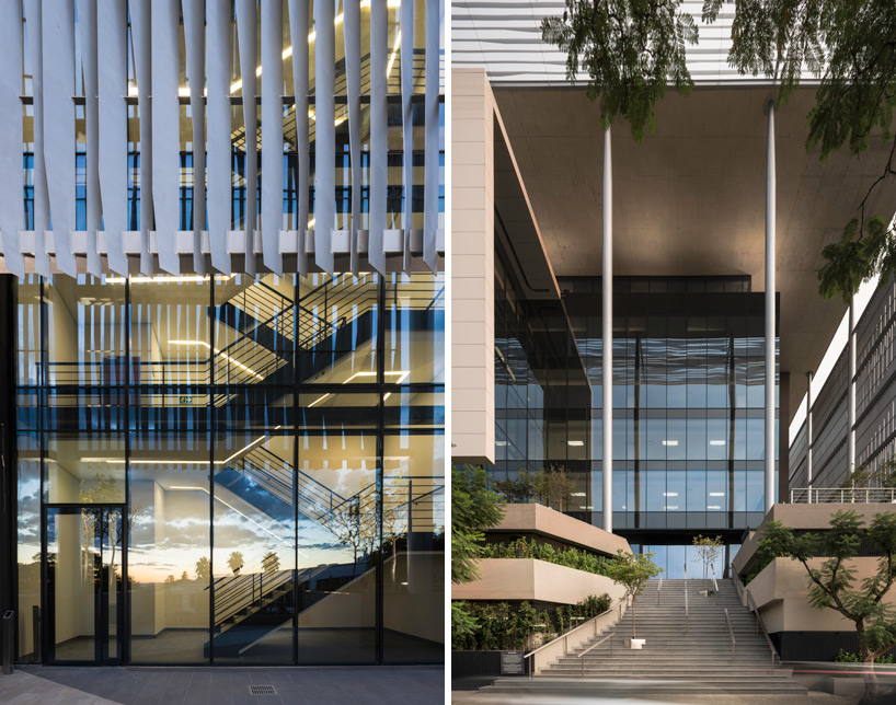 paragon architects 30 jellicoe johannesburg designboom