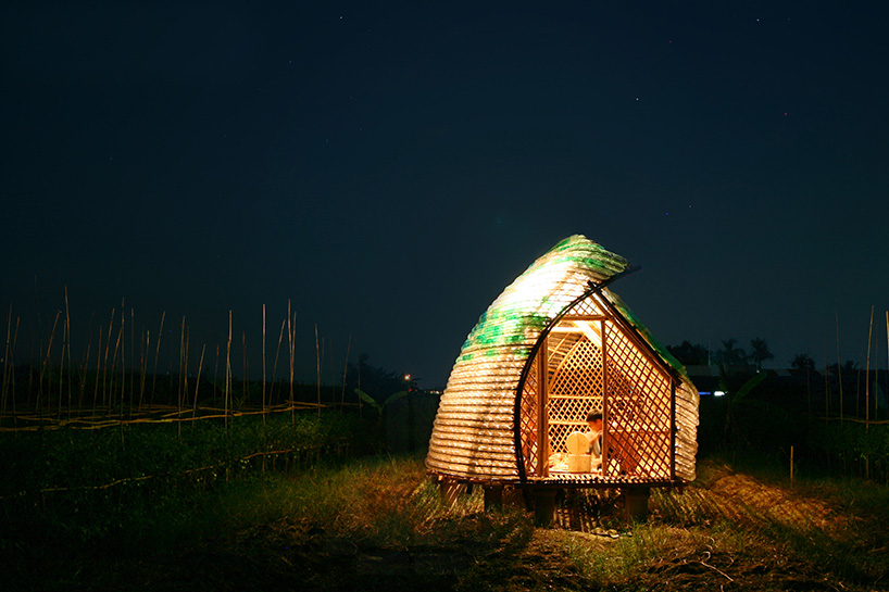 1+1>2 architecture curves sheltered seedling house from bottles + bamboo