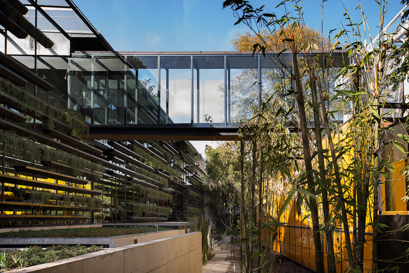 rojkind arquitectos surrounds falcón HQ with modular planters