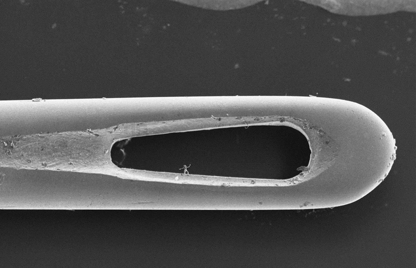 jonty hurwitz's nano sculptures are the same scale as a human sperm