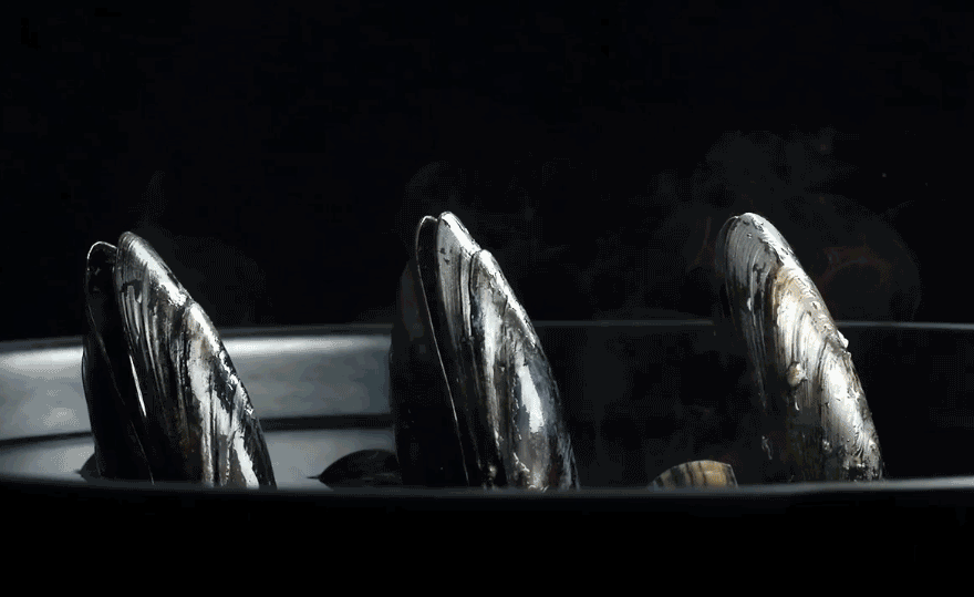 gus filgate films the last meals of napoleon, caesar & hendrix