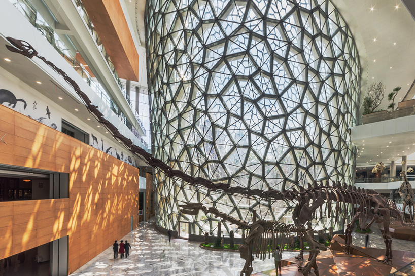 بازگشایی موزه تاریخ طبیعی شانگهای