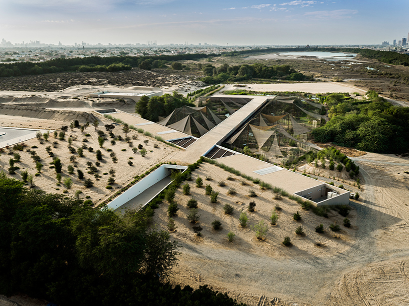 X-architects embeds visitor center into sharjah's wasit natural reserve