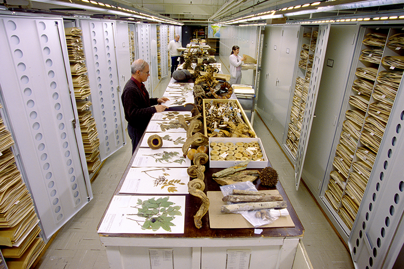 inside the archives storage at the smithsonian natural history museum