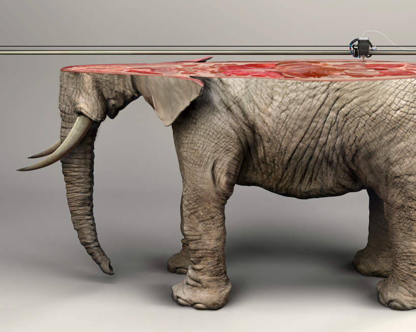 http://www.designboom.com/wp-content/uploads/2016/05/young-rubicam-IFAW-campaign-3D-printed-animals-designboom-14.jpg