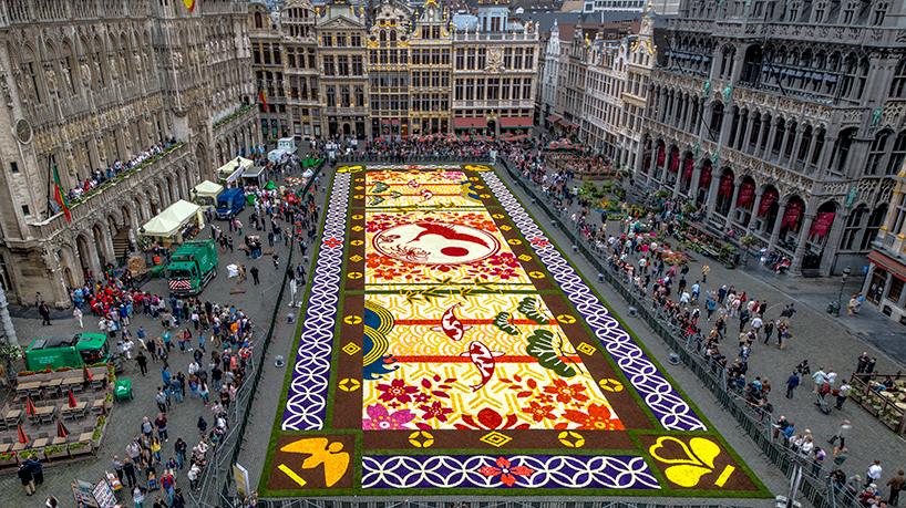 طراحی فرش گلها در بروکسل، با استفاده از 600.000 شکوفه