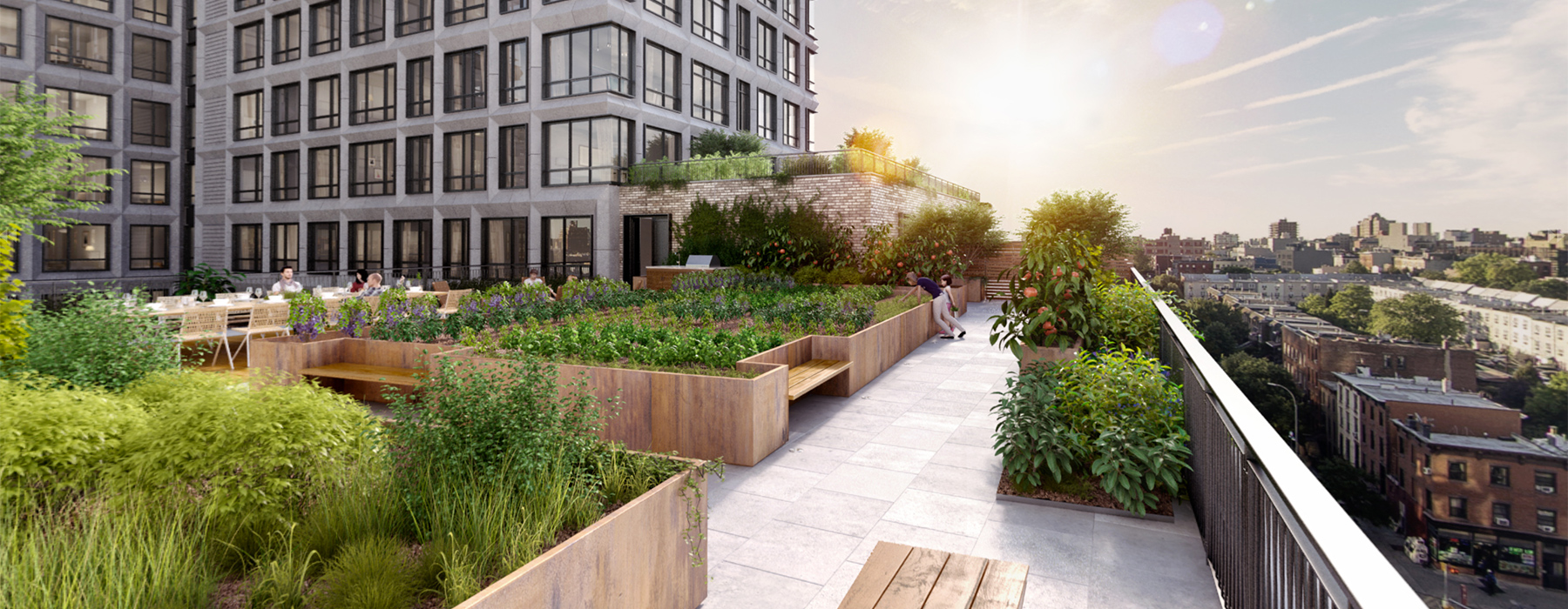 urban farming: new york's communal gardening movement