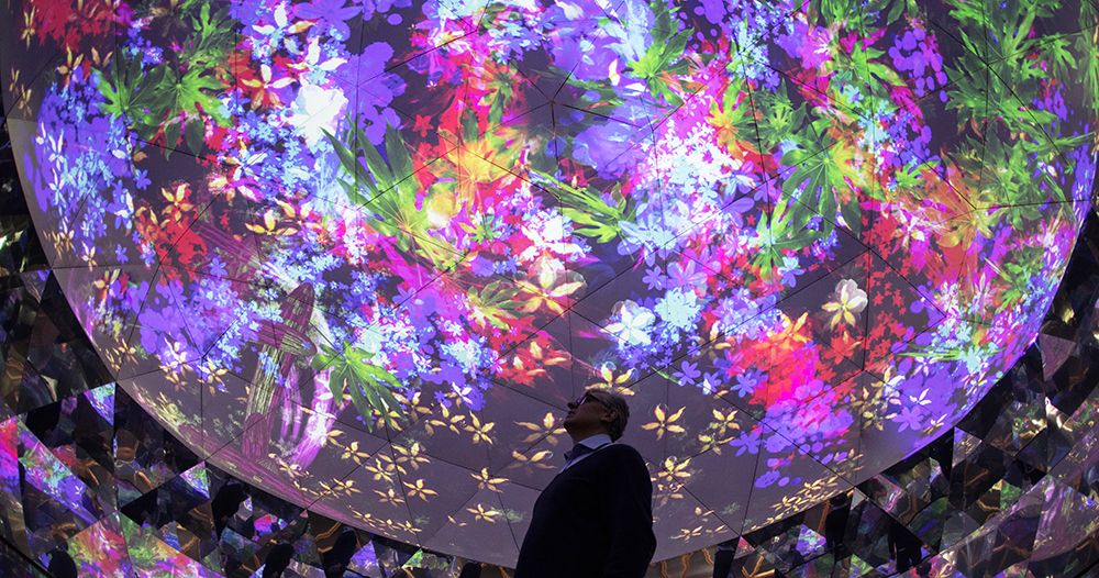 miguel chevalier's 'vegetal ballet' of virtual plants animates a historic french castle - Designboom