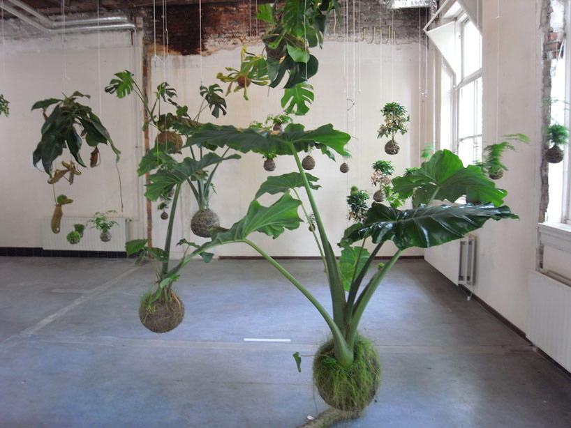 flower salon / droog : string gardens, maurice scheltens, ...