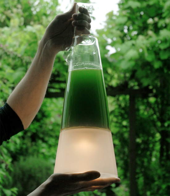mike thompson: latro algae lamp