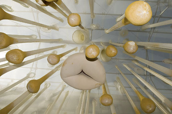 'while nothing happens' by ernesto neto