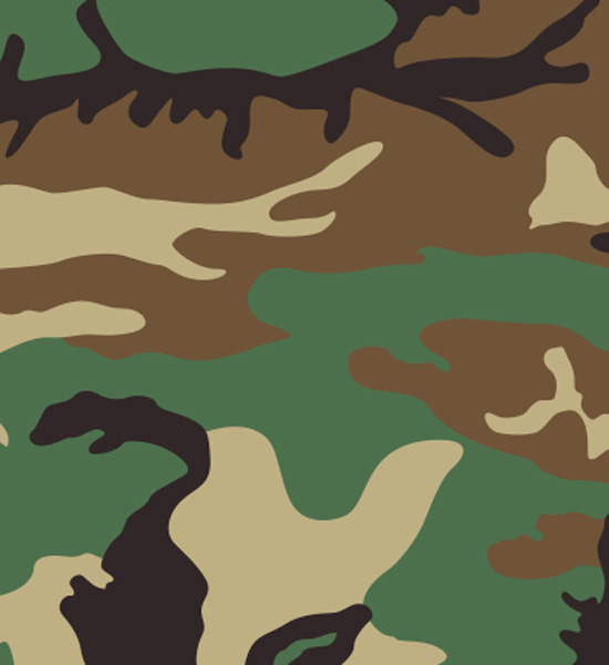 the history of modern camouflage