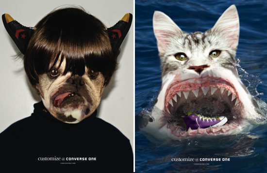 converse: animal hybrids