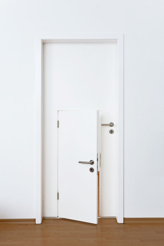 a door within a door