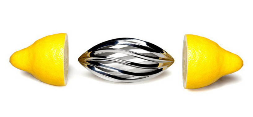 roland kreiter: mysqueeze