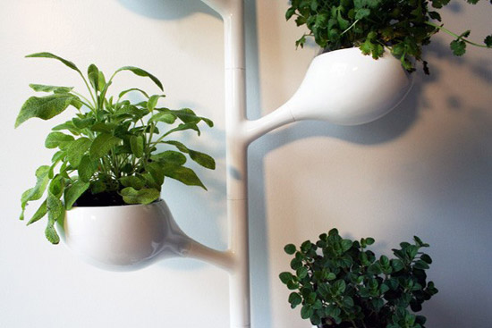 peter j. pless: stem for kitchen ecology