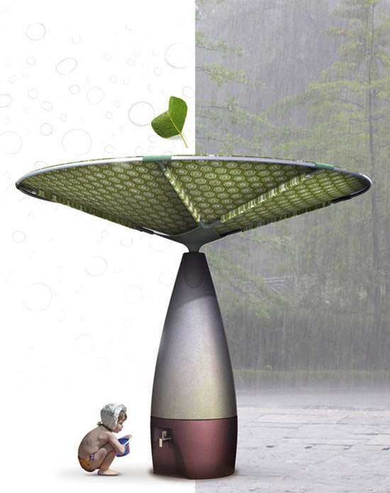 adital ela and oded davidovitch: waterfull