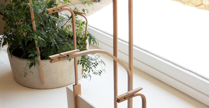 grégory marion: clothes peg for plants