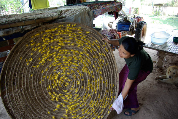 silk making - 1
